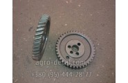 Шестерня Д30-1006214 распредвала ведомая двигателя  Д-21 трактора Т-25,Т-25А,В Т З-2032  